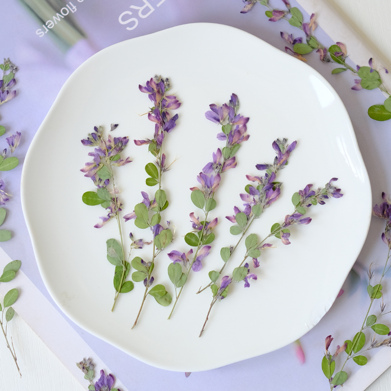 6pcs,nature Lespedeza Formosa  - Dried Flower Bookmark recensie en prijs