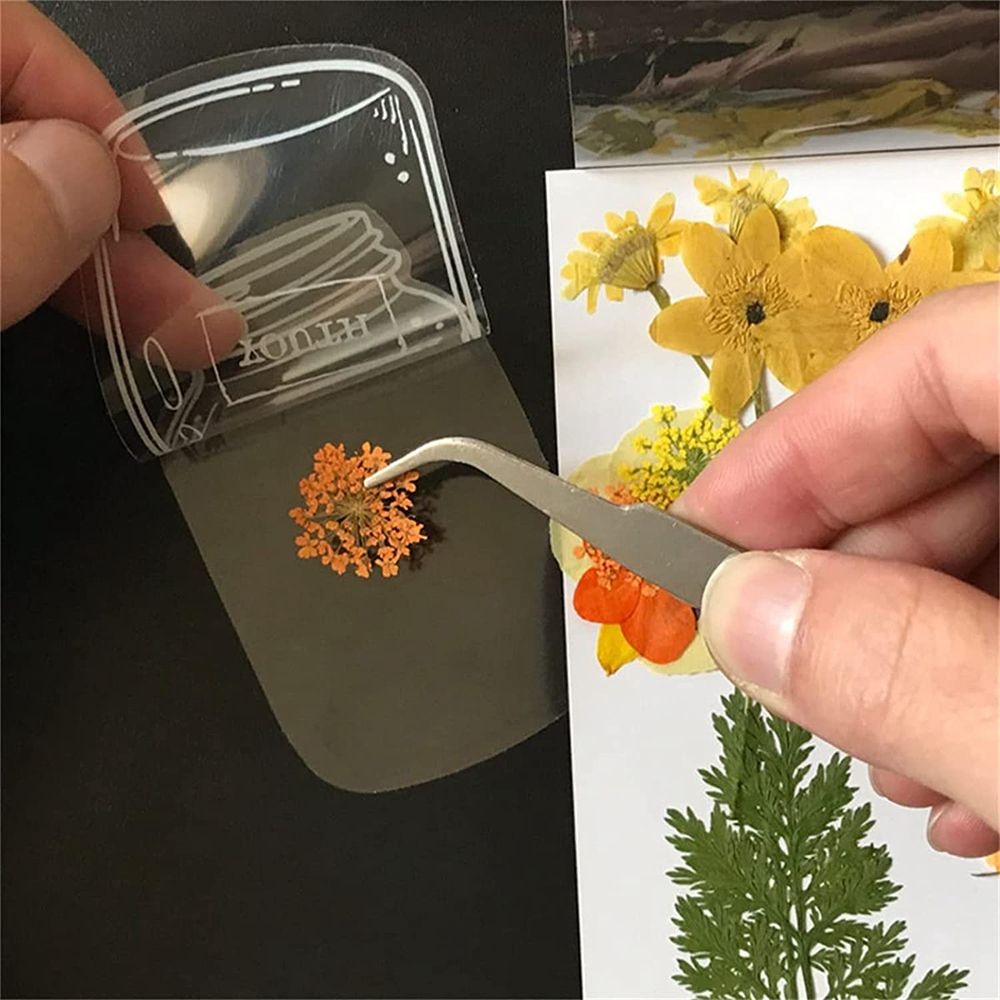 30Pcs Handmade DIY Transparent - Dried Flower Bookmark recensie en prijs
