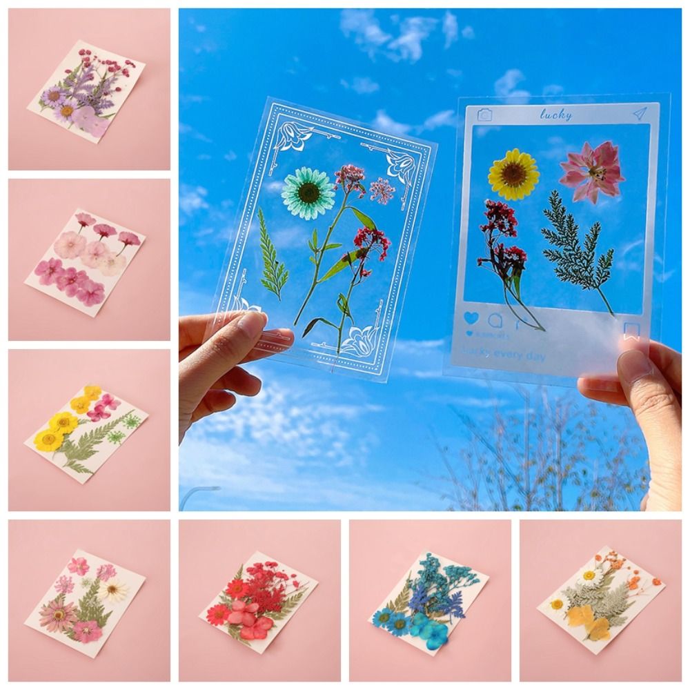 DIY Materials DIY Dried Flower - Dried Flower Bookmark recensie en prijs