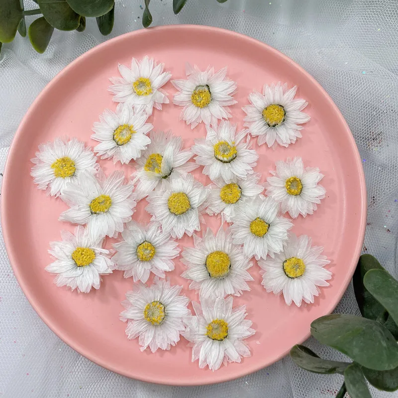 24pcs/2-4CM,Natural Pressed Fl - Dried Flower Bookmark recensie en prijs