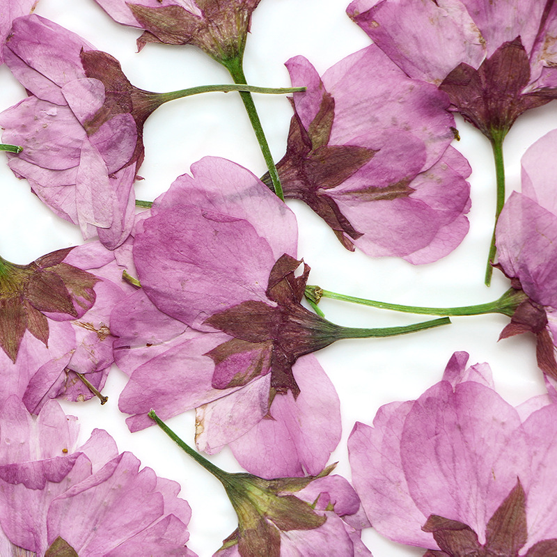 36Pcs Natural Dried Flower Pre - Dried Flower Bookmark recensie en prijs