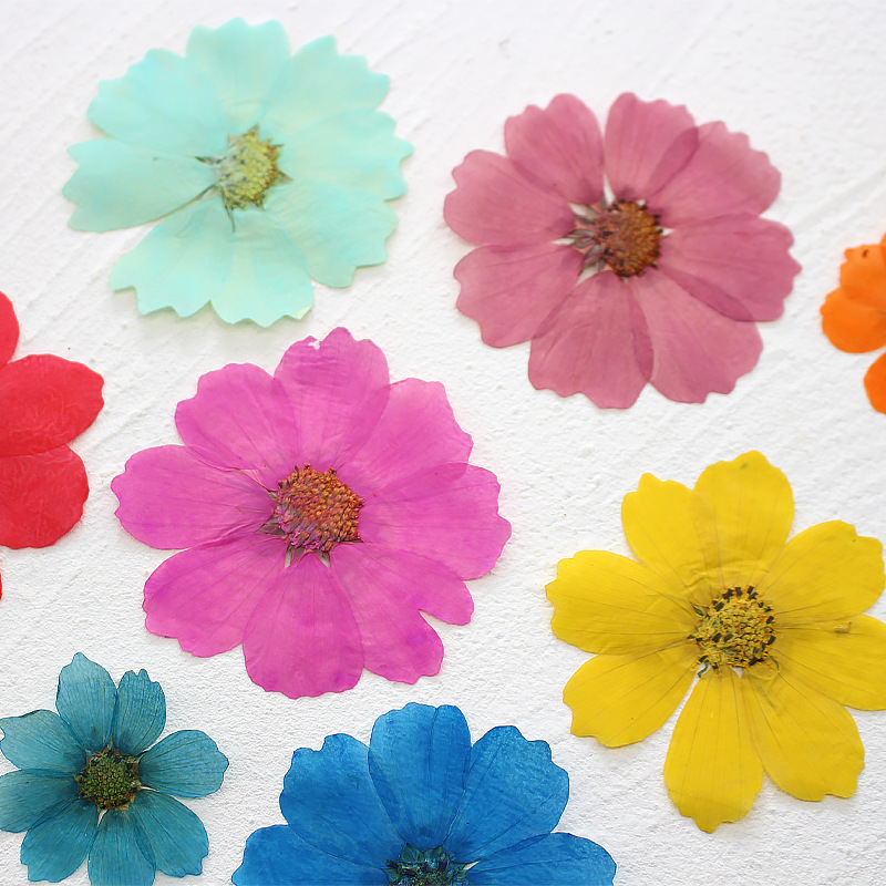 36Pcs Large Cosmos Flower Drie - Dried Flower Bookmark recensie en prijs