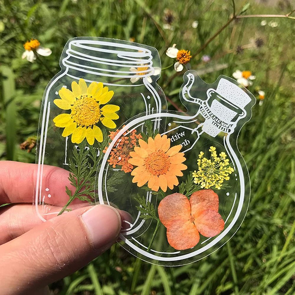 30Pcs Transparent Dried Flower - Dried Flower Bookmark recensie en prijs